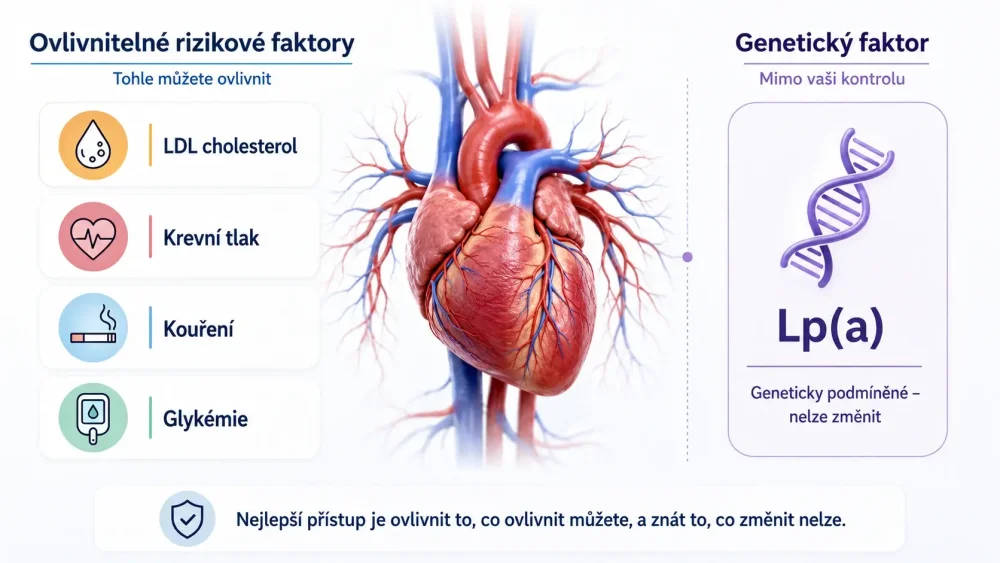 Srdce/cévy uprostřed a kolem něj několik ovlivnitelných rizikových faktorů: LDL, tlak, kouření a glykémie; Lp(a) jako samostatný genetický faktor.