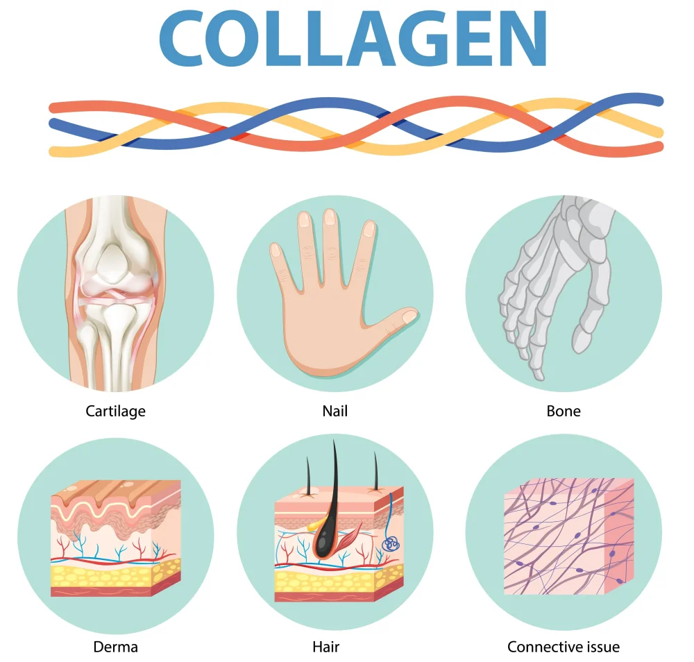 Účinky beauty doplnkov s kyselinou hyalurónovou na vzhľad pleti