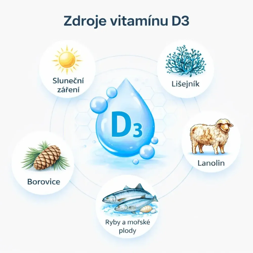 Grafika znázorňující hlavní zdroje vitamínu D3 s modrou kapkou uprostřed