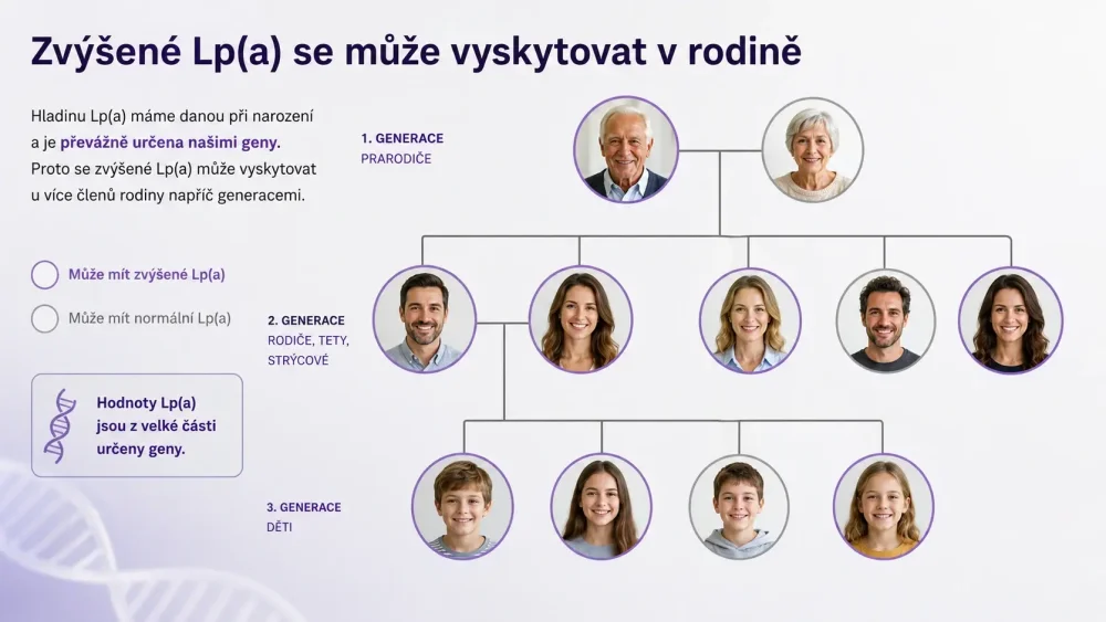 Rodokmen se zvýrazněnými členy rodiny, u kterých se může vyskytovat zvýšené Lp(a); důraz na dědičnost, nikoli na diagnózu.