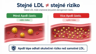 ApoB a non-HDL cholesterol: čo ukazujú a kedy dopĺňajú LDL