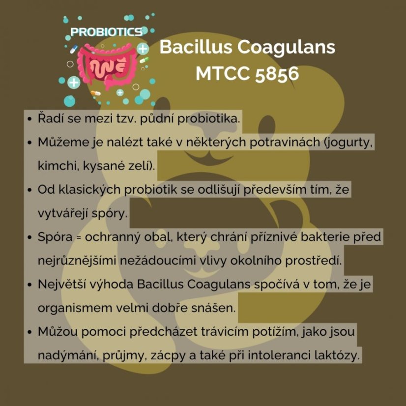 Gumoví medvídci Zdravá střevní mikroflóra - probiotika