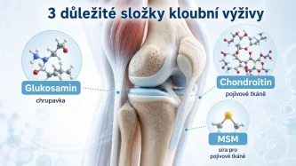 Glukosamin, chondroitin a MSM: jaký je rozdíl a kdy dávají smysl