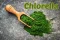 Chlorella: Zelená superpotravina pre zdravé telo