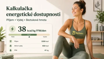 Kalkulačka energetickej dostupnosti