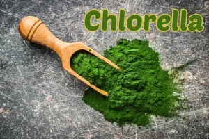 Chlorella: Zelená superpotravina pro zdravé tělo