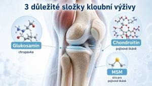 Glukosamín, chondroitín a MSM: aký je rozdiel a kedy dávajú zmysel