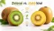 Kiwi: vláknina, vitamín C a vplyv na trávenie