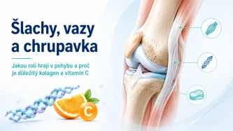 Šlachy a vazy: jak se liší od chrupavky a proč je řešit u kloubní výživy