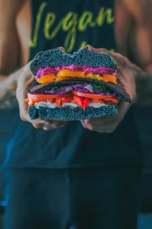 Chutný veganský burger představující ekologický a etický přístup ke stravování