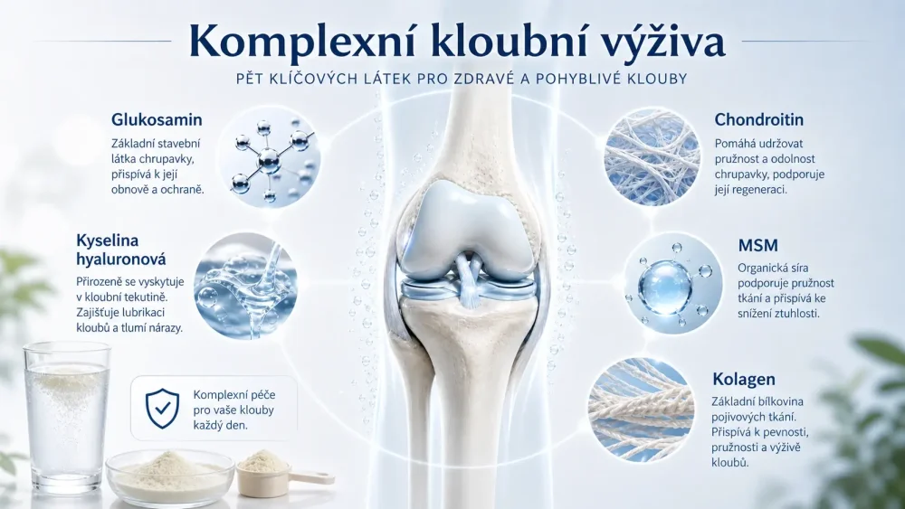 Infografika komplexnej kĺbovej výživy zobrazuje glukozamín, chondroitín, MSM, kolagén a kyselinu hyalurónovú vo vzťahu k kolennému kĺbu.