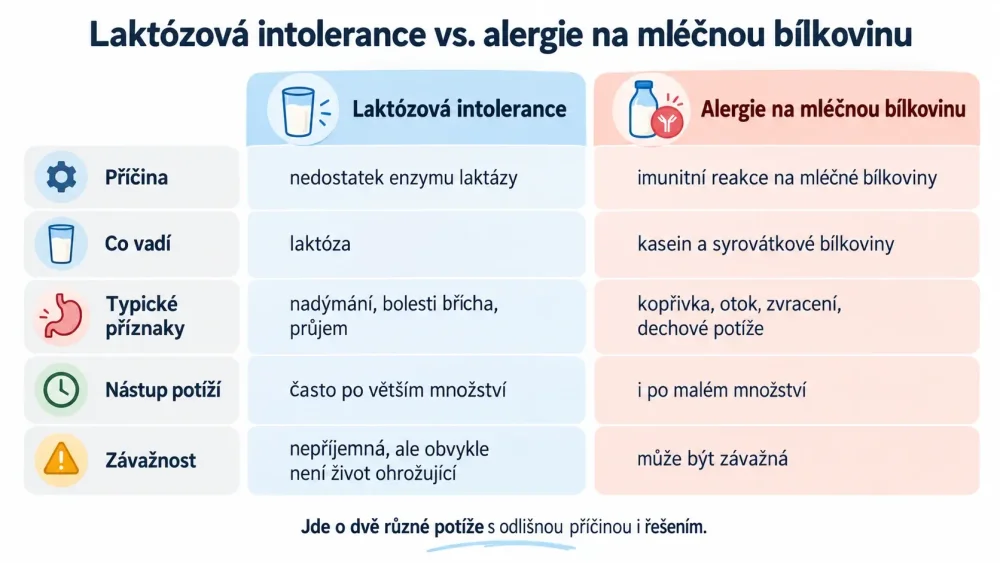Přehled rozdílu mezi laktózovou intolerancí a alergií na mléčnou bílkovinu